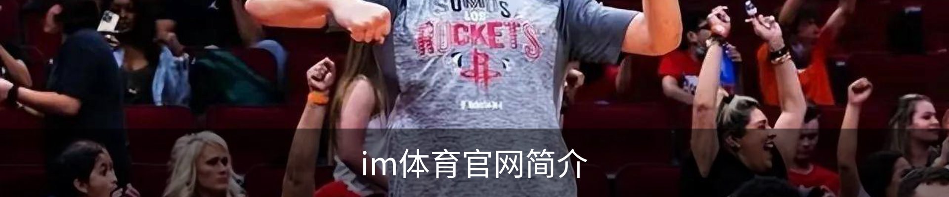 im体育官网简介
